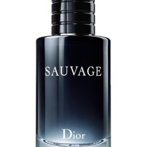 SAUVAGE EDT CHRISTIAN DIOR 100 ML