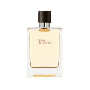 TERRE D'HERMÉS 100 ML EDT
