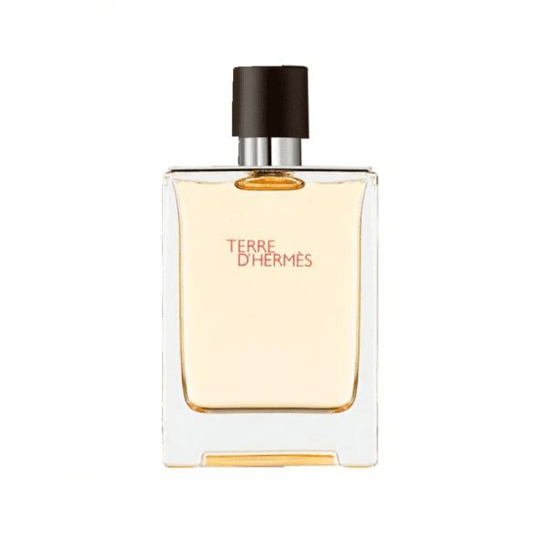 TERRE D'HERMÉS 100 ML EDT