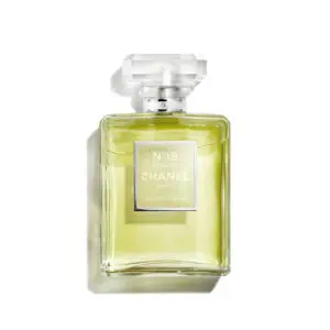 CHANEL Nº19 POUDRÉ EAU DE PARFUM 100 ML